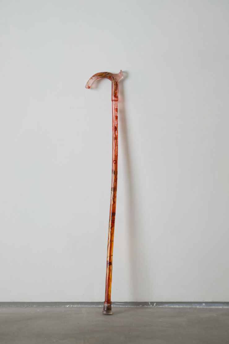 Maria Kulikovska, Liminal Botanical Support Apparatus: Cane No. 1, 2025