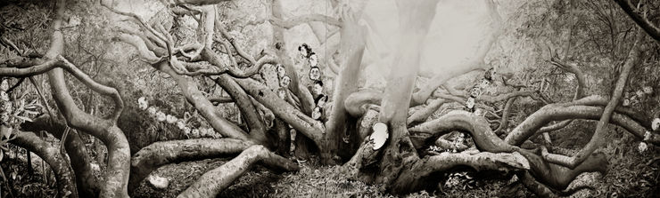 Lu Chao, Black Light No.5, 2017