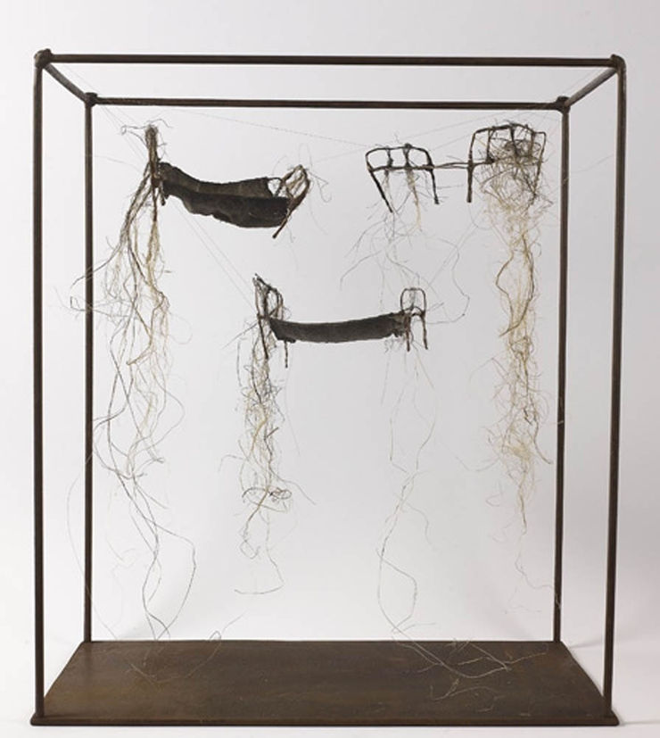 Rossana Zaera, In a Coma, 2009