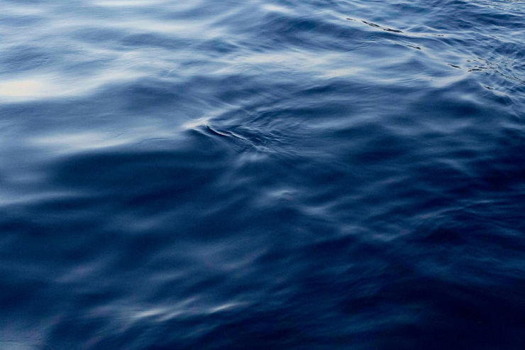 Ruben van Schalm, Placid