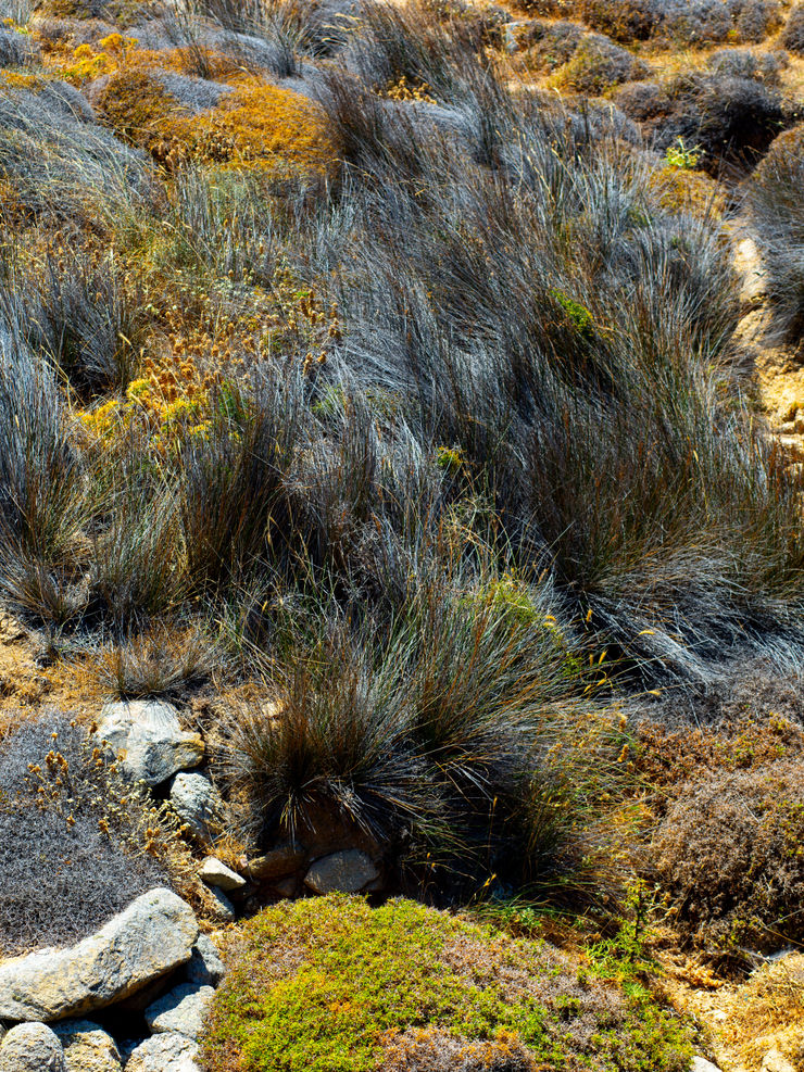 Ruben van Schalm, Emotional Chaos