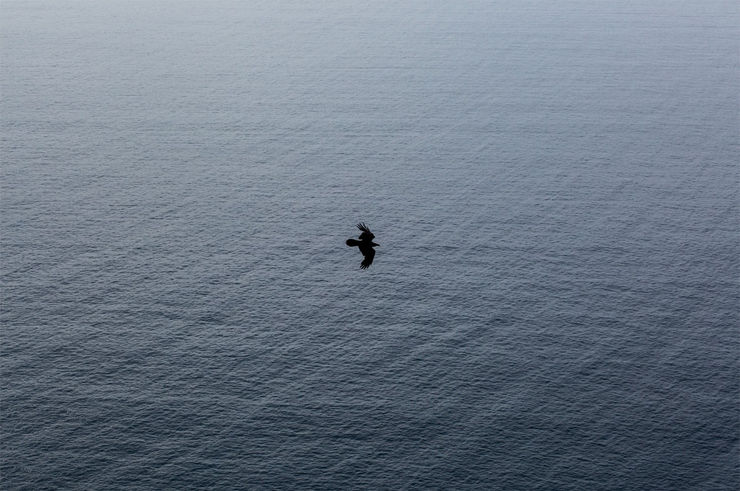 Ruben van Schalm, Freedom