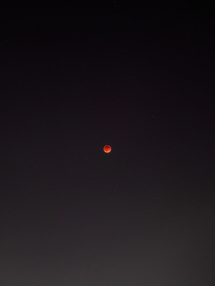 Ruben van Schalm, Untitled