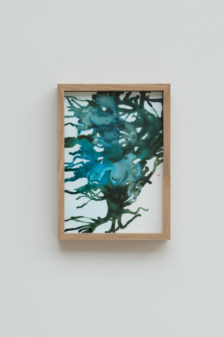 Sophie Hing Yee Cheung CMYK Painting: Crystal, Tree and Human Nerves, 2024 Inkjet printer ink on paper 21 x 14.8 cm 22.5 x 16.3 cm framed