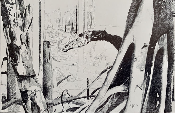 Sepp Baendereck, Demoníaca, 1986