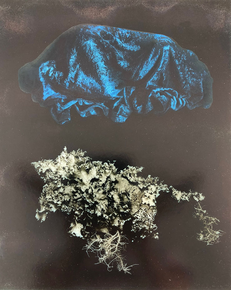 Color Toned silver gelatin print of a Blue Fabric and Lichen Abstract by Slate Gray Gallery artist Jerry Uelsmann