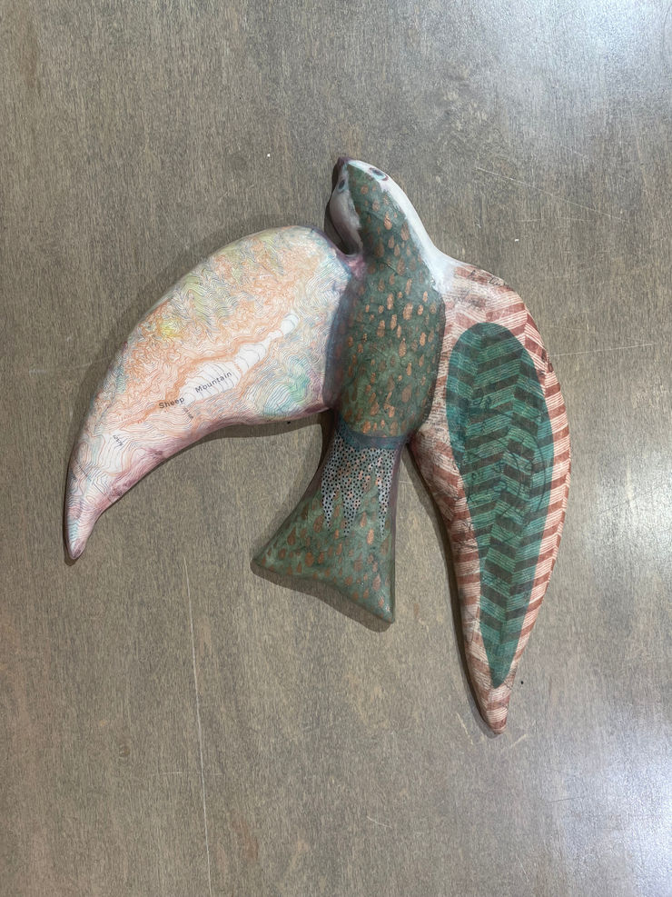 Sheep Mountain Swallow