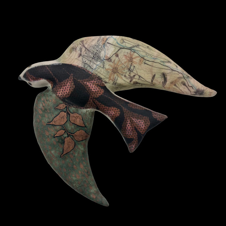 Bear Creek Wildflowers