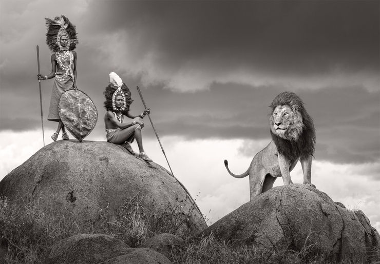 James Lewin, The Warriors, 2025