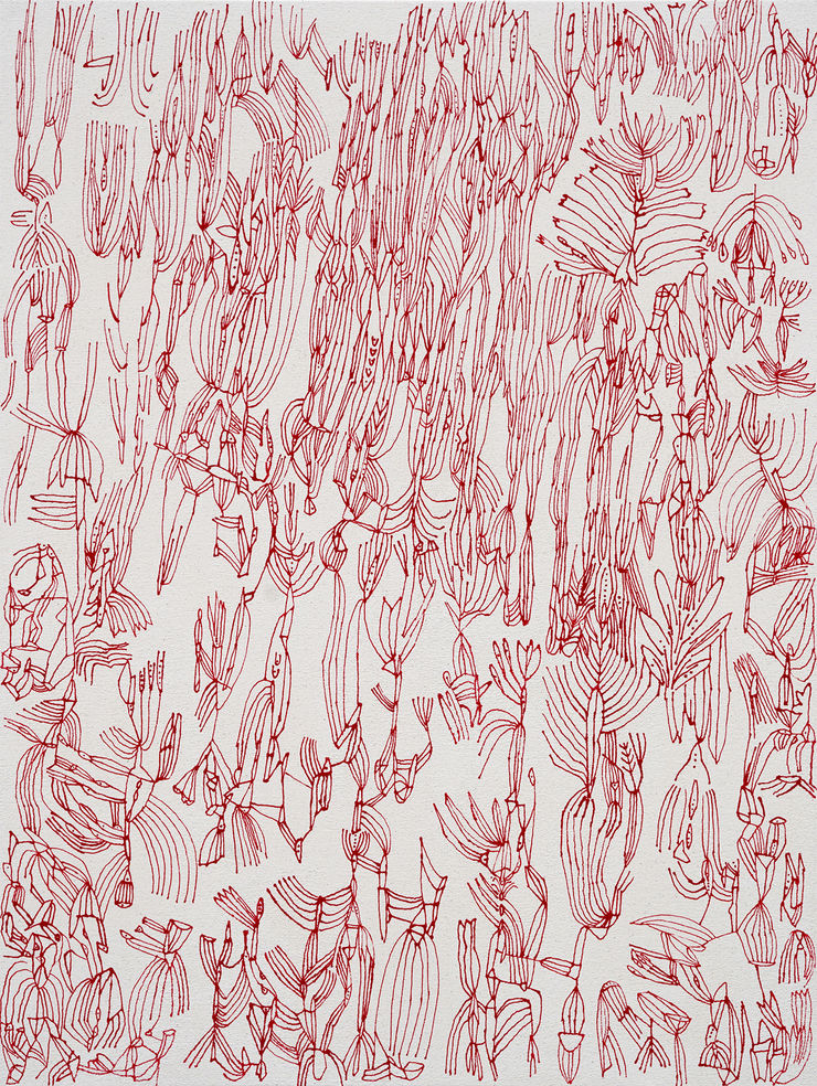 Sarah Giannobile, Concorde, 2024