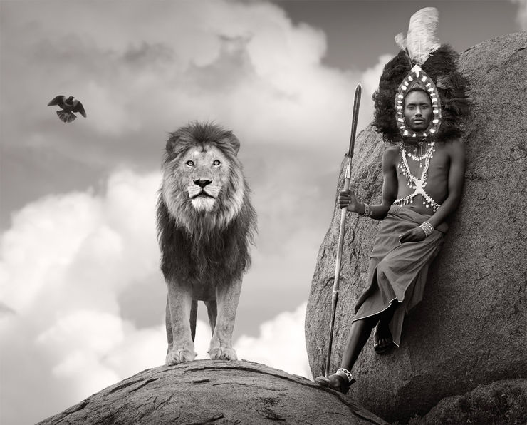 James Lewin, One Land One Life, 2025