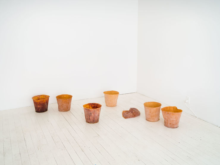 Darya Diamond, Invisibilia , 2022