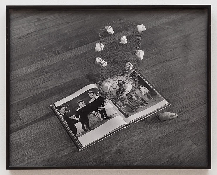 William Leavitt, Random Selection: Dog, Wire, Marshmallows, Mice,, 1969