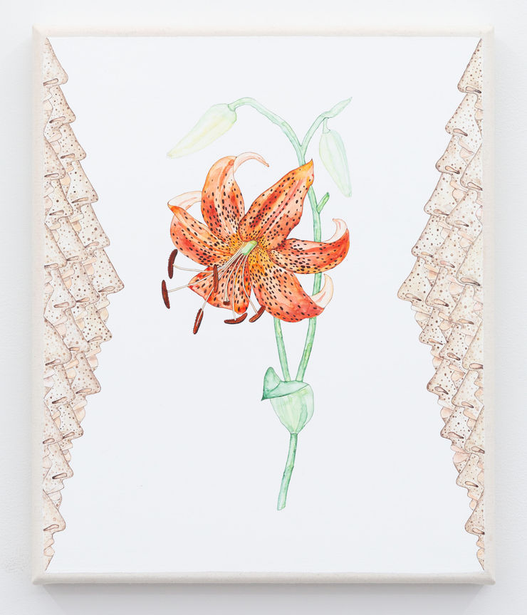 Zina Swanson Tiger Lily with Nose Border (Smelling tiger lillies causes freckles), 2020 watercolour and acrylic on canvas 30.5 x 25 cm