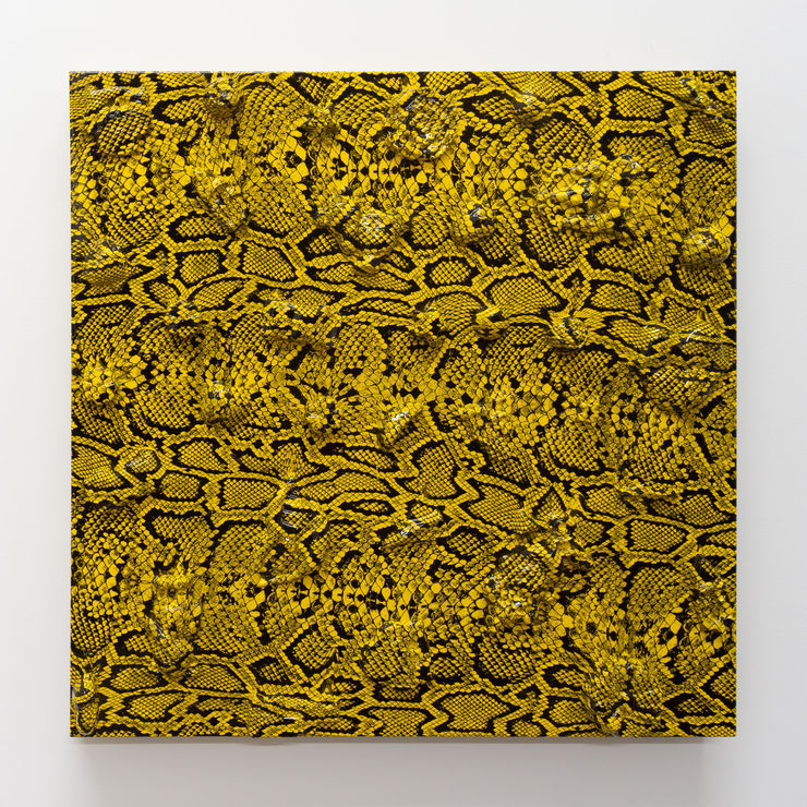 Yolunda Hickman Shells (Scales), 2019 Polyvinyl alcohol, resin plaster, glue and epoxy on board 50 x 50 cm