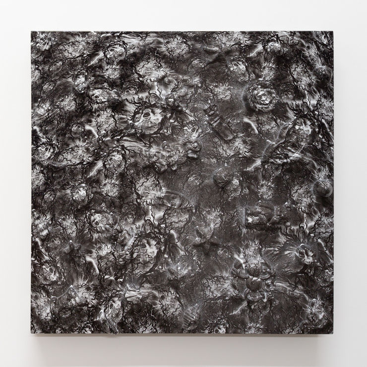 Yolunda Hickman Shells (Wolves), 2019 Polyvinyl alcohol, resin plaster, glue and epoxy on board 50 x 50 cm