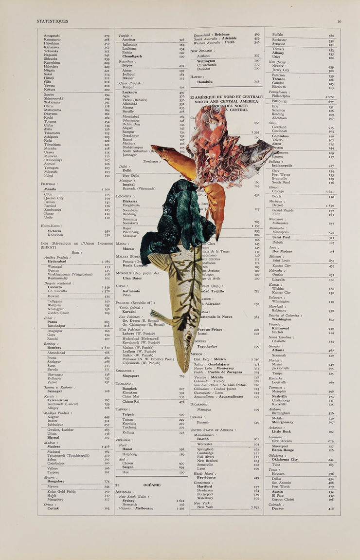 Apnavi Makanji, APPROPRIATION DISINFORMATION – NATURE AND THE BODY POLITIC Series: STATS, 2024