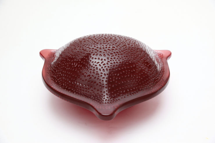 Parag Tandel, Extinct Form I , 2016