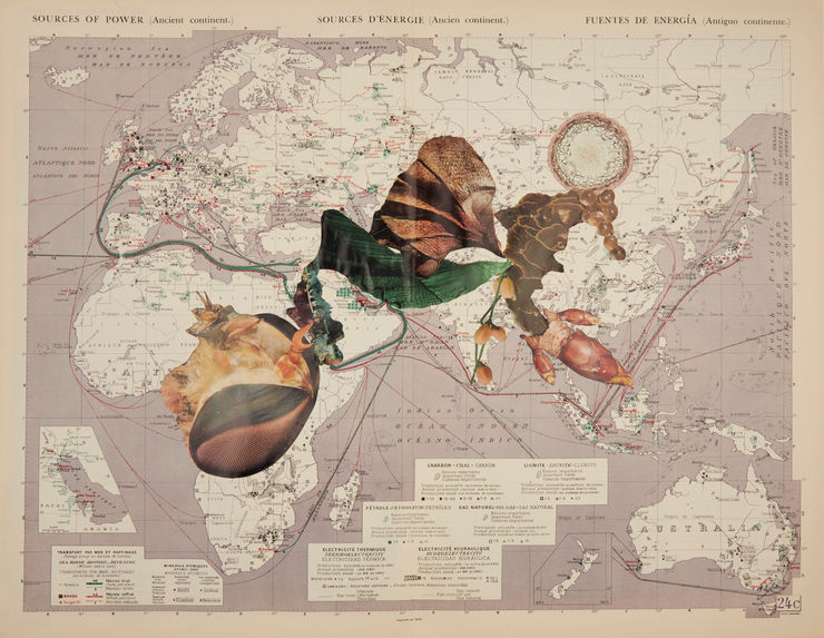 Apnavi Makanji, Appropriation Disinformation - Nature and the Body Politic IV, 2019