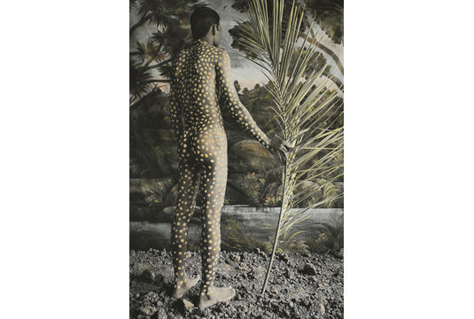 Waswo X Waswo, Tribal Dreams, 2008