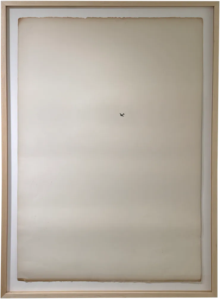 Lance Letscher, Flight, 2026