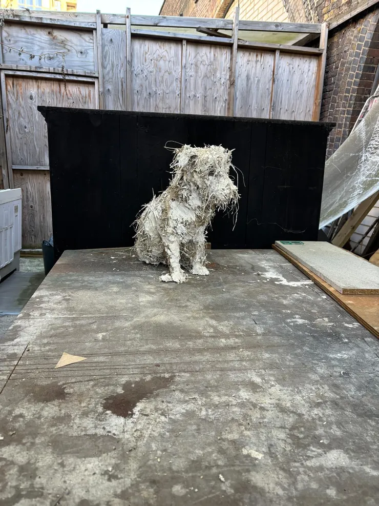 Nicola Hicks, Puppy with Eyebrows, ed. 4 of 6, 2025