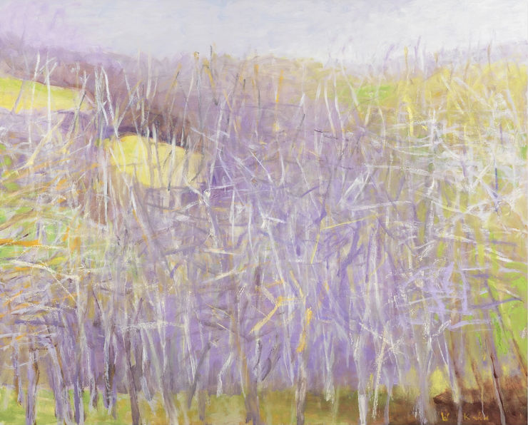 Across the Valley (Midsize Version) Broken, 2005 Oil on canvas 42 x 52 inches