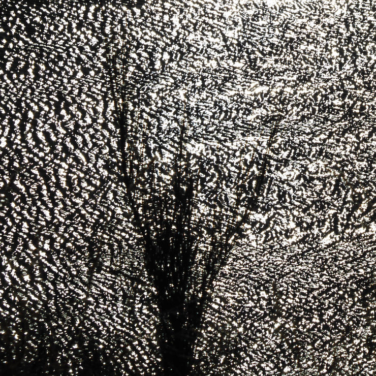 Kim Pieters, Untitled 1A, 2021