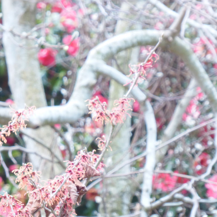 Kim Pieters, Untitled 2A, 2021