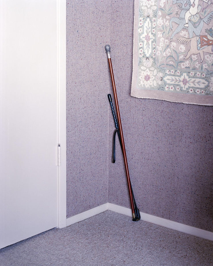Buck Ellison, Untitled (Whip), 2011