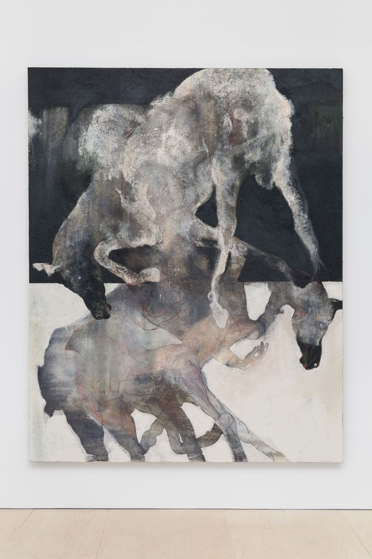 Patrick H Jones, Distill, 2019