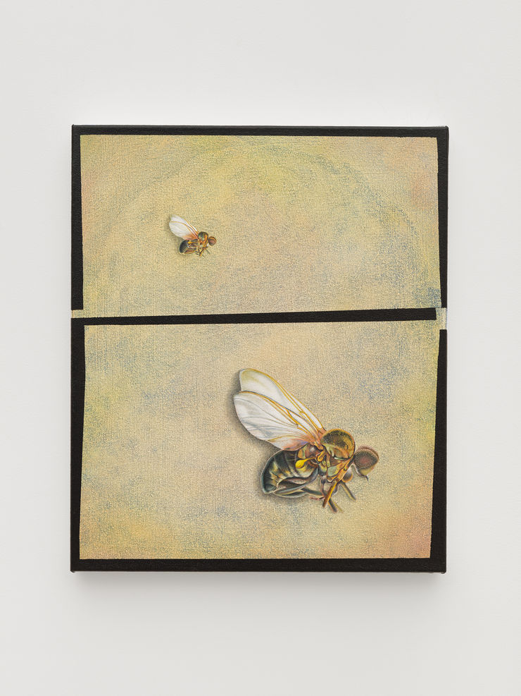 Veronika Pausova, Combinatory Story, 2021