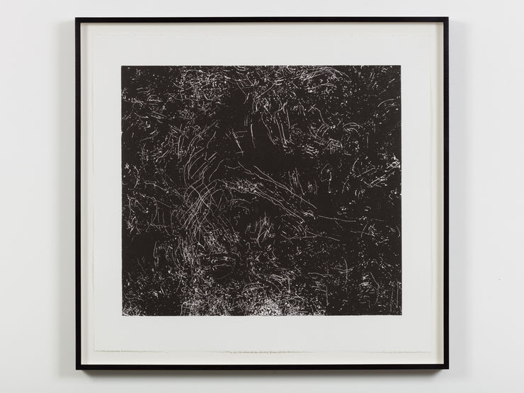 Kate Newby, Just be prepared (Backyard birds, Southtown), 2017