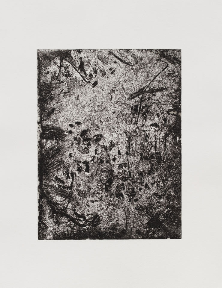 Kate Newby, gave that everything, 2022