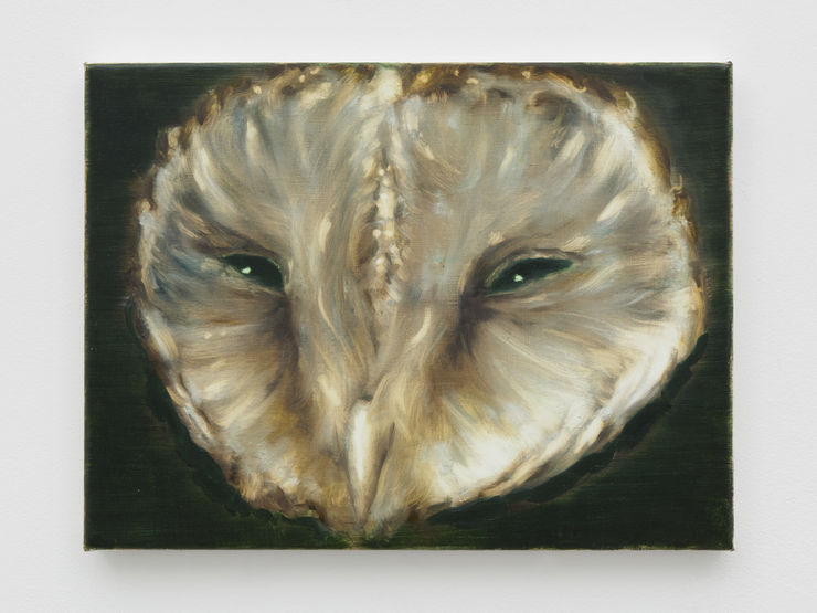 Tomas Harker, Visual Intelligence, 2025