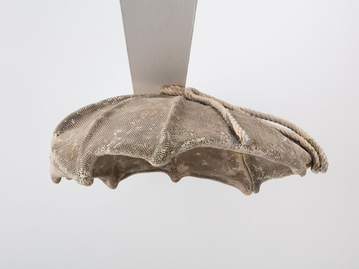 Piotr Bury Lakomy, Planet Bone Dome, 2018-2019