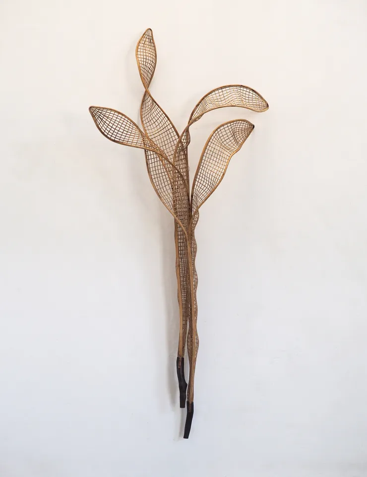 索菲普 ‧ 皮奇 Sopheap Pich, 洋紫荊 2 Bauhinia Purpurea 2, 2024