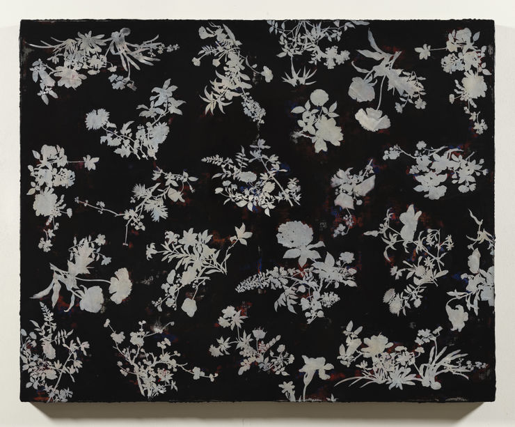 Imitating Mother-of-Pearl Inlay Exercise (Raven Black)