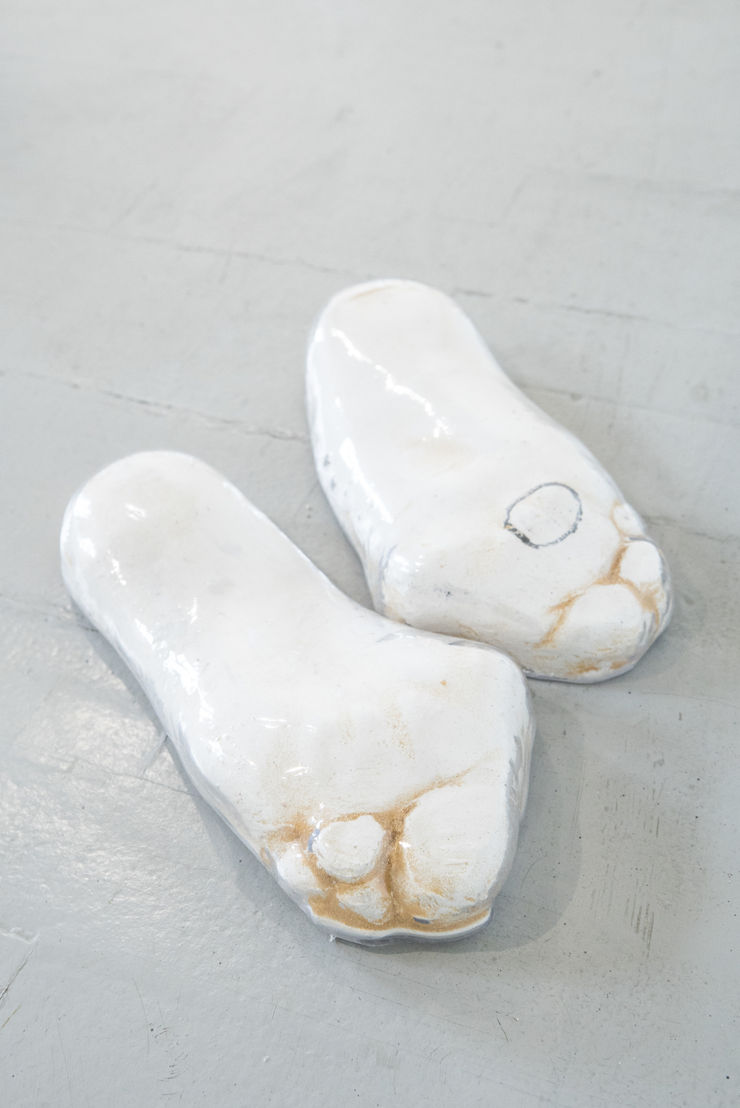 Anastasija Sosunova & Andrea Zucchini, Švino kojos / Cold Feet, 2018