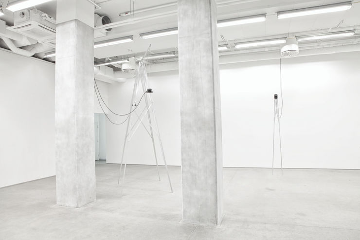 Ignas Krunglevičius, Compulsion to Repeat, 2017