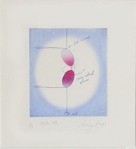 James Rosenquist, Water Lily, 1981