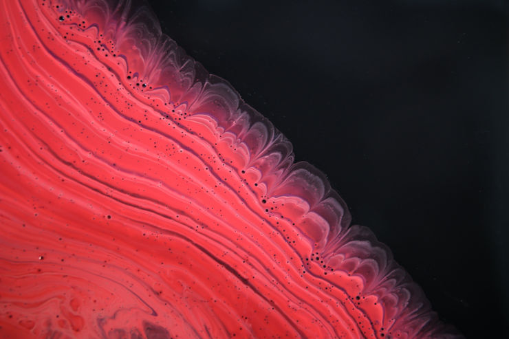 Priya Fry, Untitled, 2011