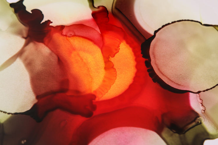 Priya Fry, Untitled, 2011