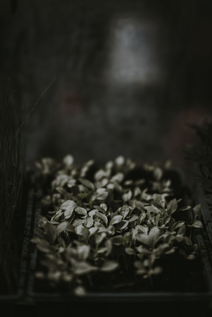 Katrina Forrest, Untitled, 2013