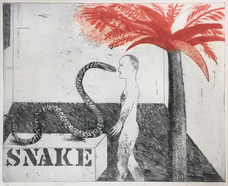 David Hockney, Jungle Boy, 1964