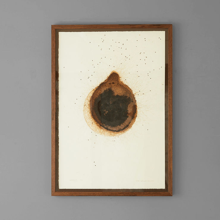 Elpida Hadzi-Vasileva, Boletus, 2016