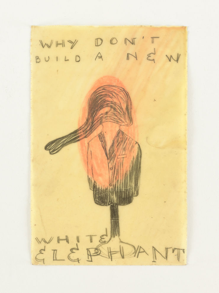 Why Don’t Build a New White Elephant