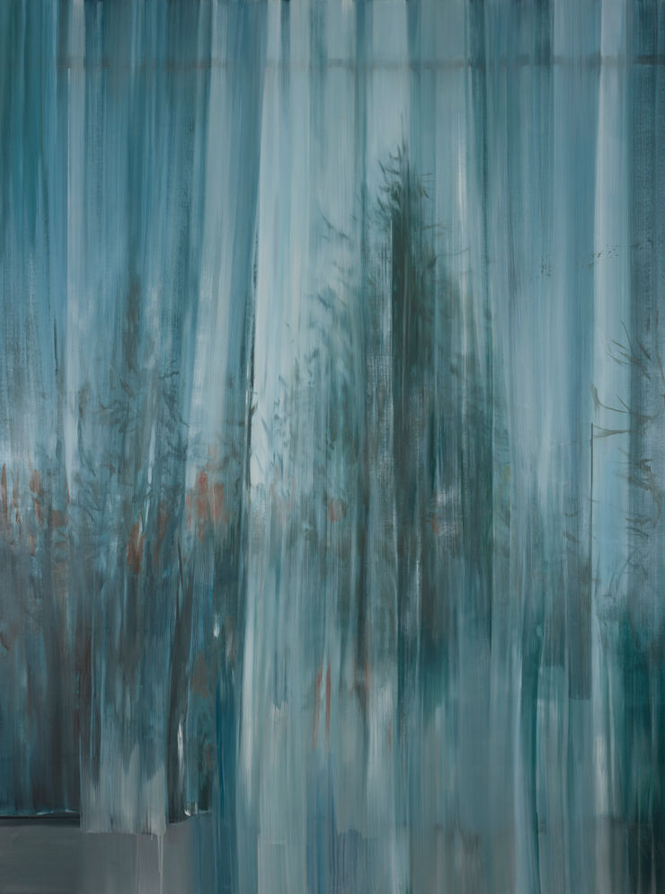 Landscape with curtain 5