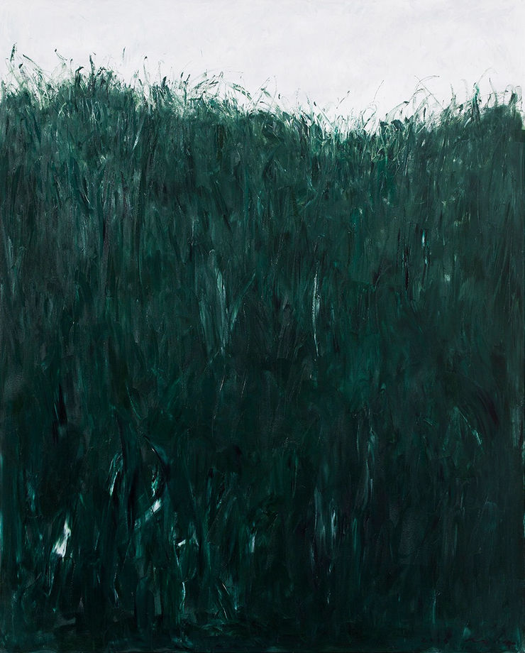 Swallowing the Shadow