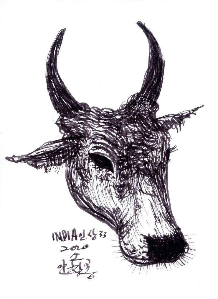 Ahn chang Hong 인도풍경 Trip to India, 2020